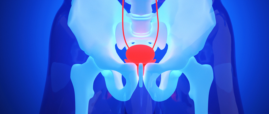 适当憋尿对膀胱有好处吗,膀胱要憋尿吗