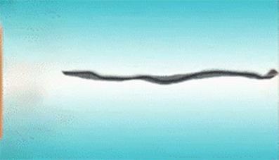 100%冰丝凉席柔软如床单,冰丝凉席一点不冰