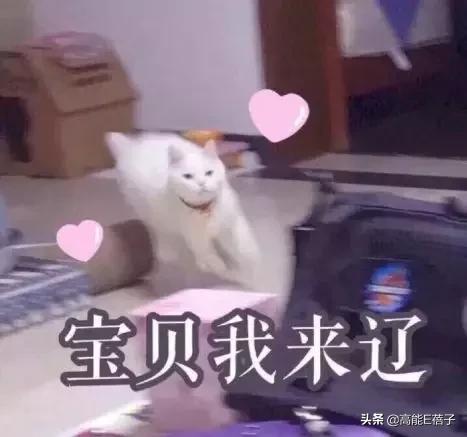 一周造型不重样,一周穿搭封面设计横屏