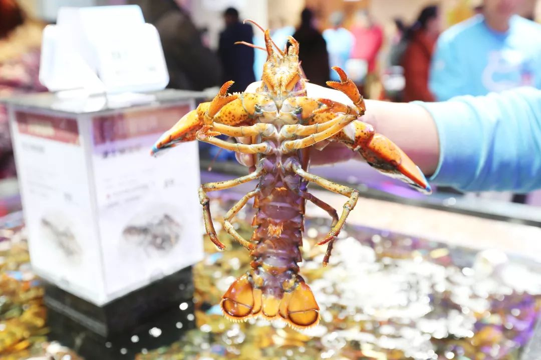 盒马第一家门店开业,盒马鲜生第一个店