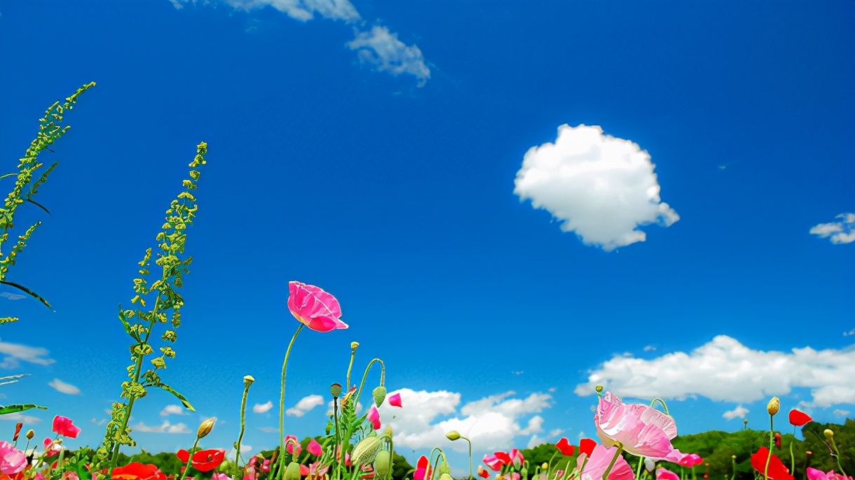 易经里十大最吉利的男孩名,易经中命好多福的男孩名字