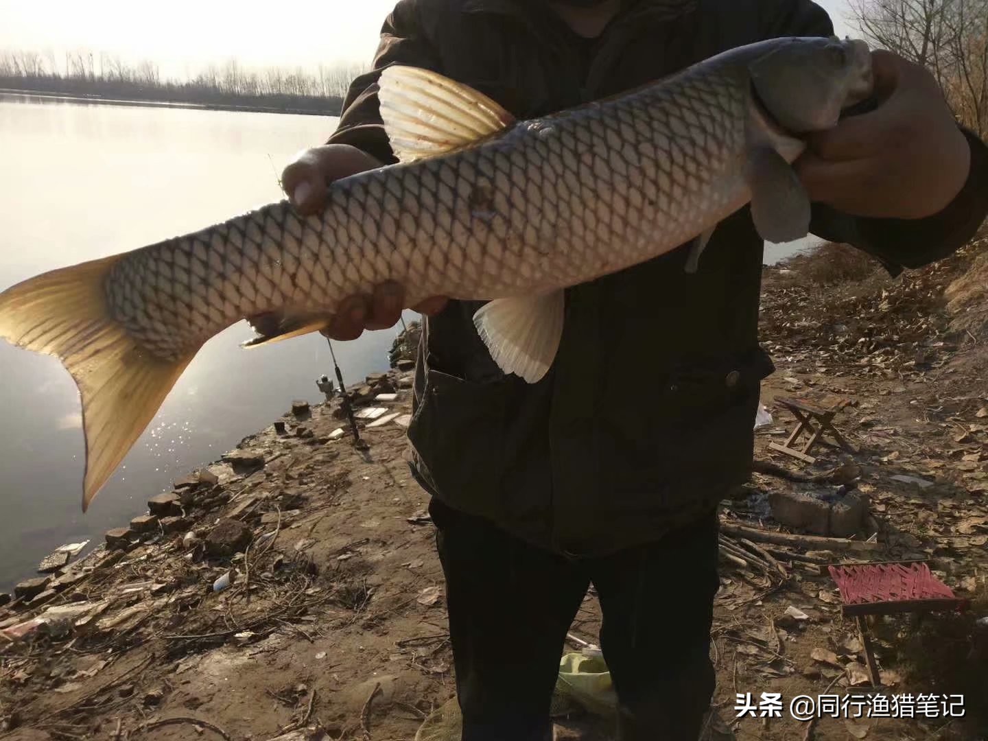 两步调漂正确方式,两步调漂法图解