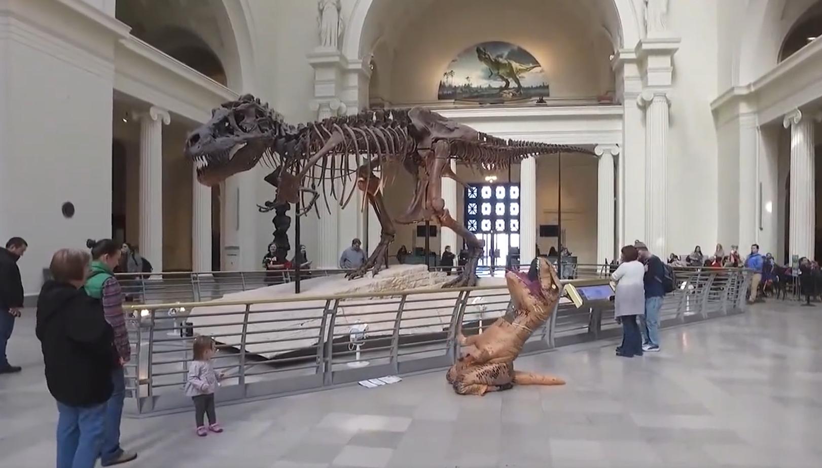 如果真的发生彗星撞地球，除了躲，其实没有什么好办法