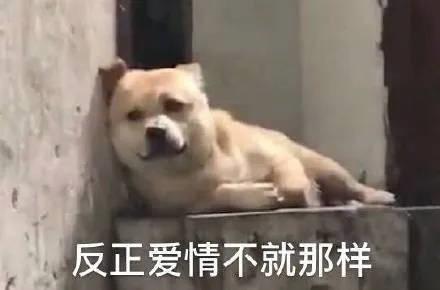 模拟隔壁老王游戏,隔壁老王的游戏叫什么