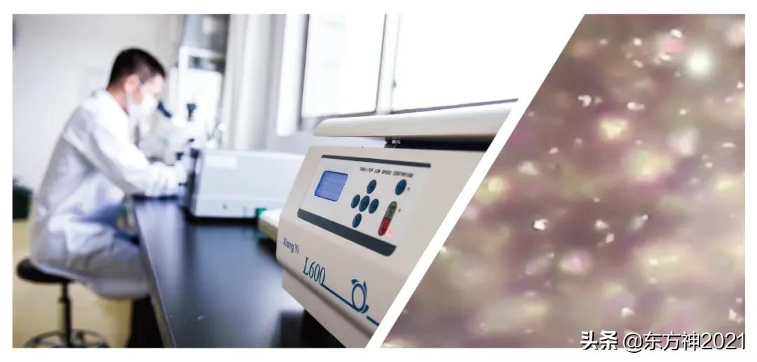 吃海参的基本知识,在吃海参过程中的误区你有中招吗