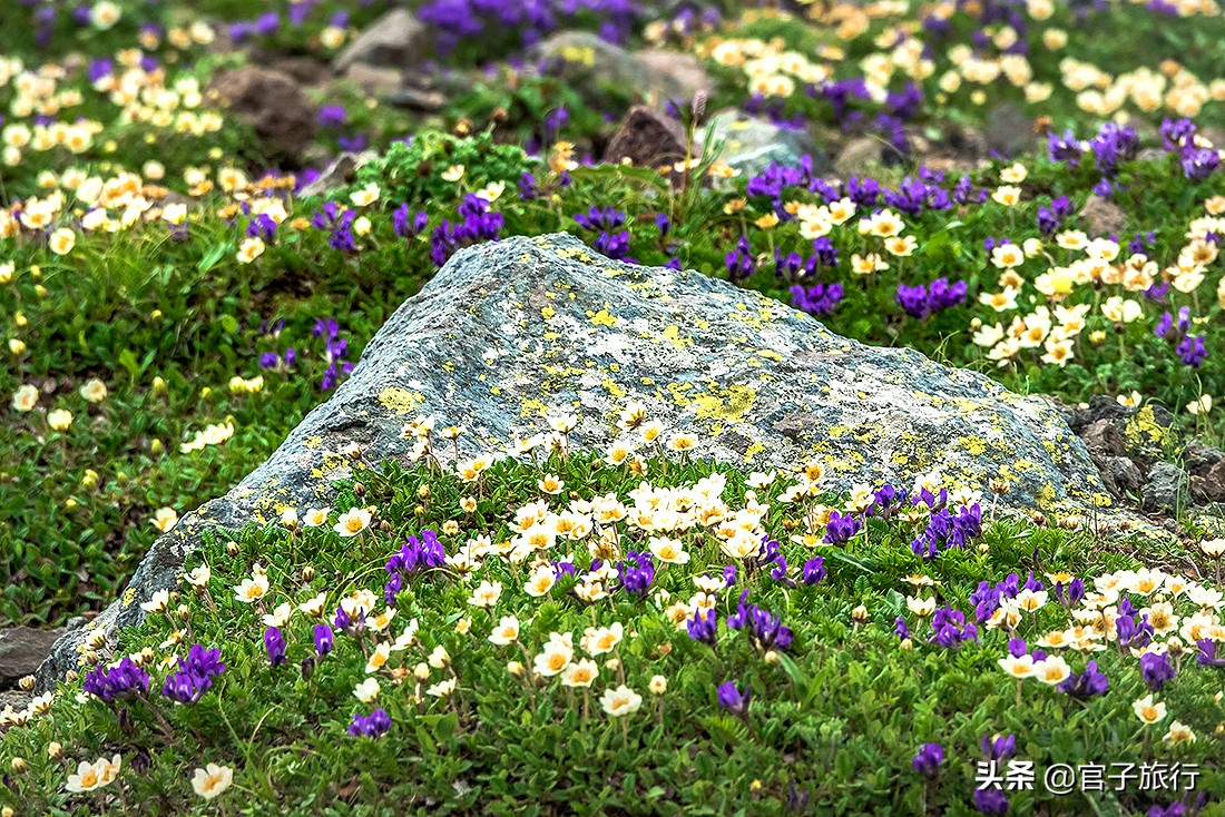 自驾游夏天长白山旅游攻略,夏天长白山附近旅游攻略