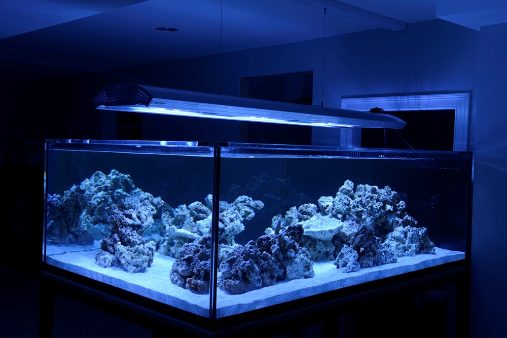 经典海水礁岩生态缸分享，180×120×60厘米三面观赏海缸