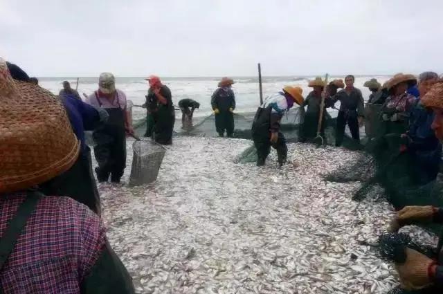 6成人去了这个半岛，都换了微信头像！广东“小希腊”要火了