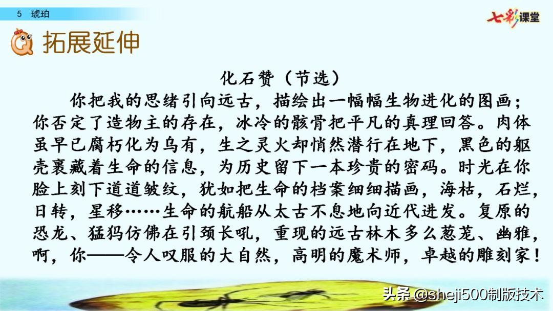 四年级语文下册第5课琥珀知识点,语文书四年级下册琥珀预习分段