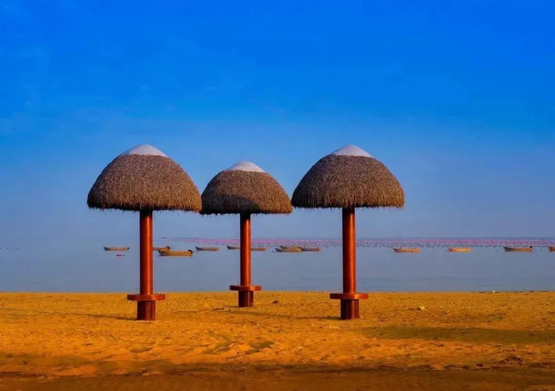 种草一个被遗忘的小岛，背山靠海，拥有山东最美的“童话屋”，美到窒息！