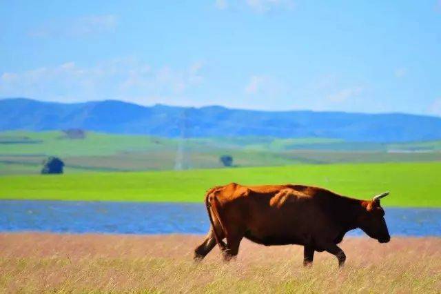 吉林省风景好的公路,吉林省第一条高速公路是哪条