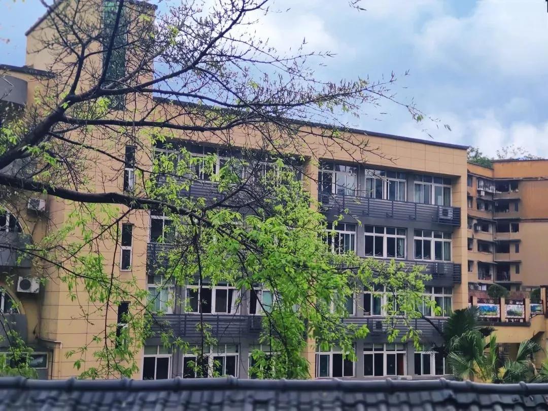 重庆七龙珠和四大金刚是哪些学校,重庆高中四大金刚学校排名