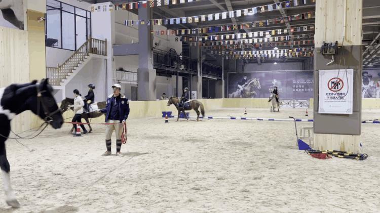 徐州英骐国际马术,徐州英琪国际马术中心