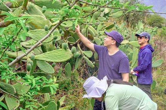 缇庡疂绉戝鎶よ偆,缇庡疂鎶よ偆