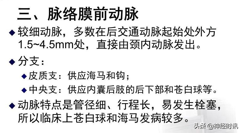 脑动脉解剖学讲解,脑膜中动脉解剖讲解