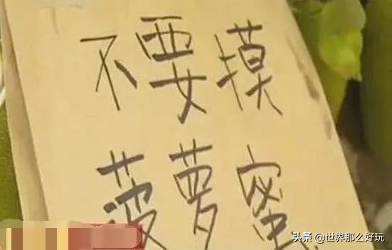 国外用中文写的标语,国外中文标语警示