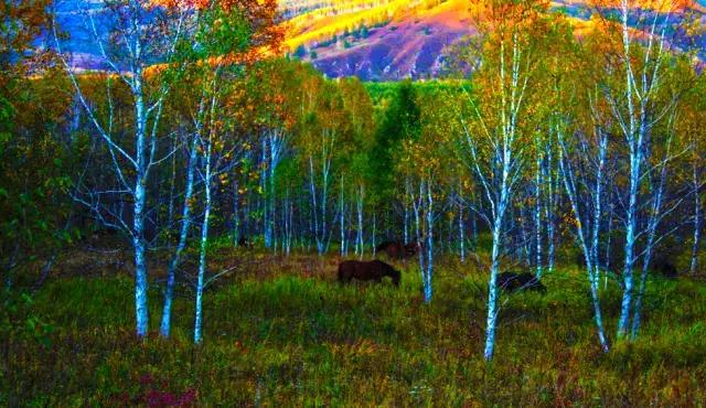 二十七首诗词二十七种人生境界,古诗词中的三种人生境界