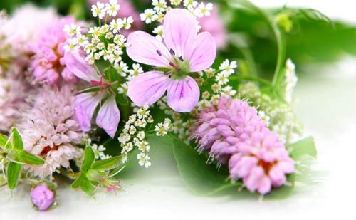 话不投机半句多各自安好,两个人最好的相处就是有话直说