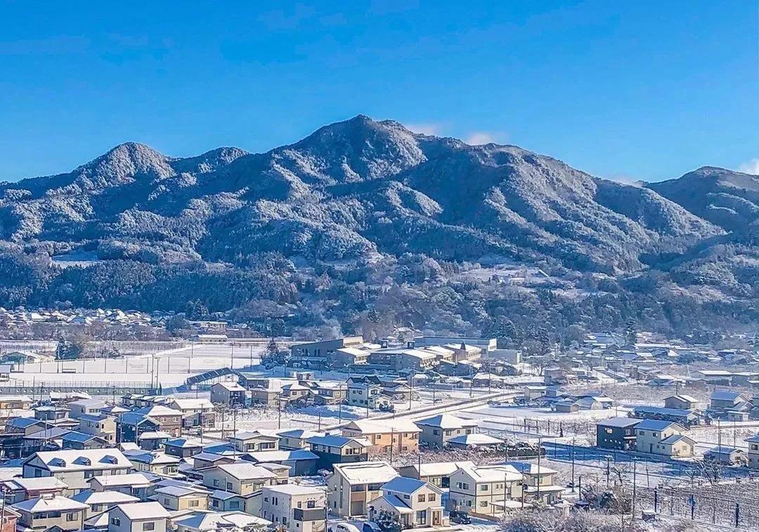 日本足球高中联赛决赛绝杀,日本高中足球联赛决赛集合
