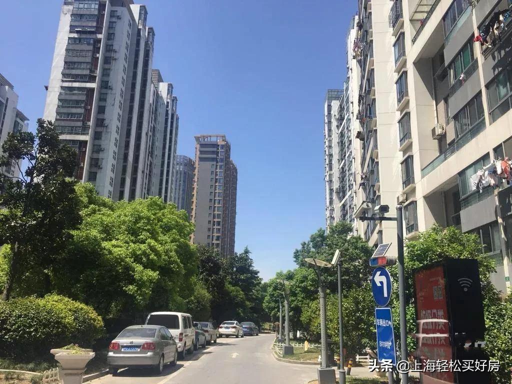 上海民办小学入学要求是什么,上海全市招生的民办小学