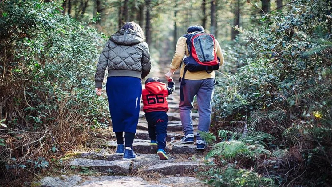 孩子内向胆小怎么培养,孩子胆小内向怎么引导孩子社交