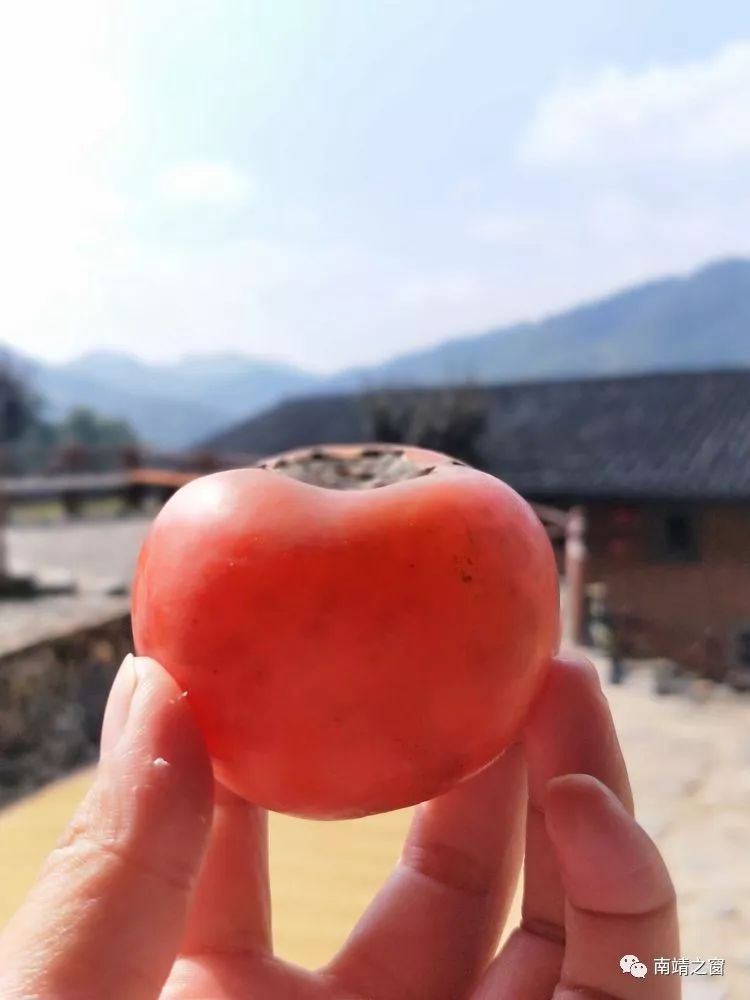 漳州南靖：有一种美，叫秋天的南靖
