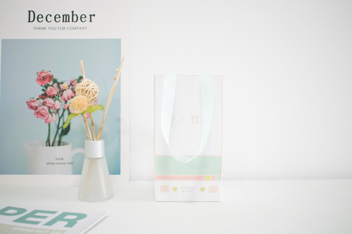 猫王又出新品收音机，小巧粉红ins风格，带上它打卡长沙网红店