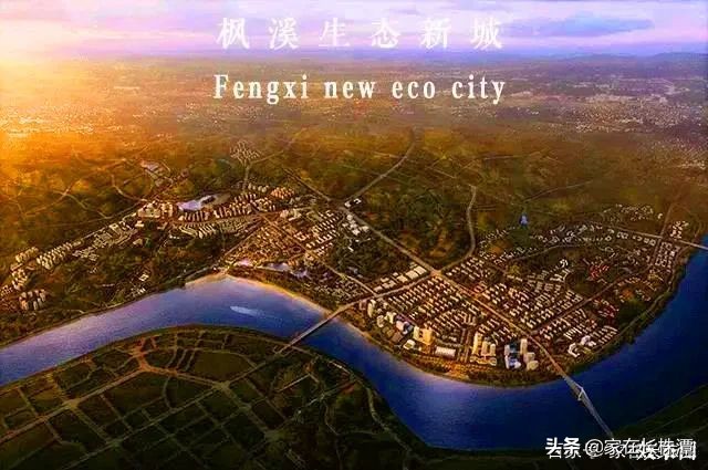 株洲芦淞区未来五年规划,株洲市芦淞区最新规划