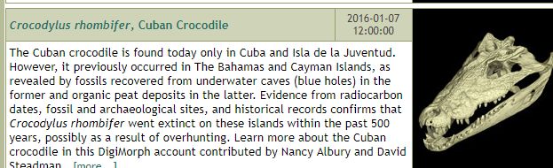 免费的高级素材网站,十大高逼格素材网站