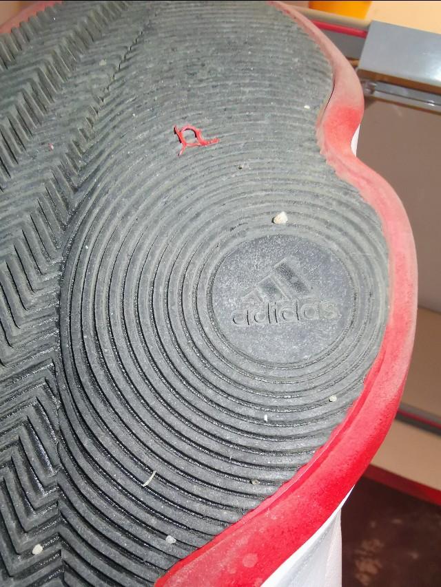 罗斯玫瑰战靴,玫瑰十年