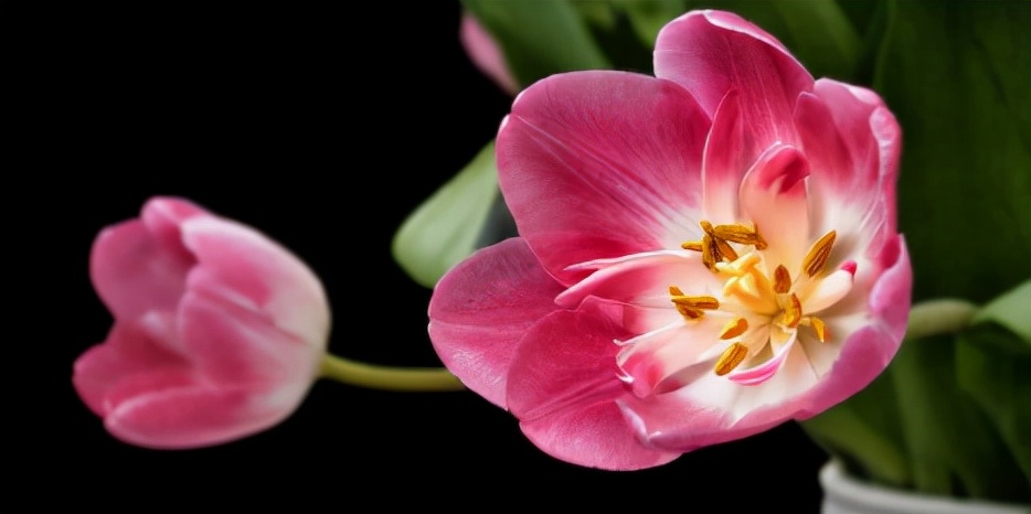 一个自以为是的女人是多么悲哀,女人最大的悲哀就是自以为是