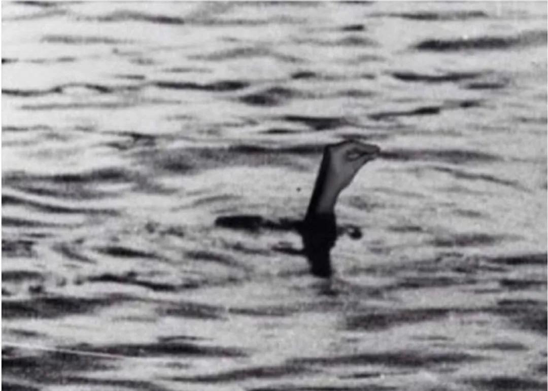 不愧是意大利人,不愧是意大利人阅读理解