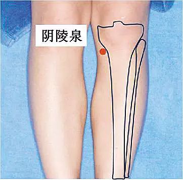 背后长痘痘用什么药膏,喝啤酒背后长痘痘是什么情况