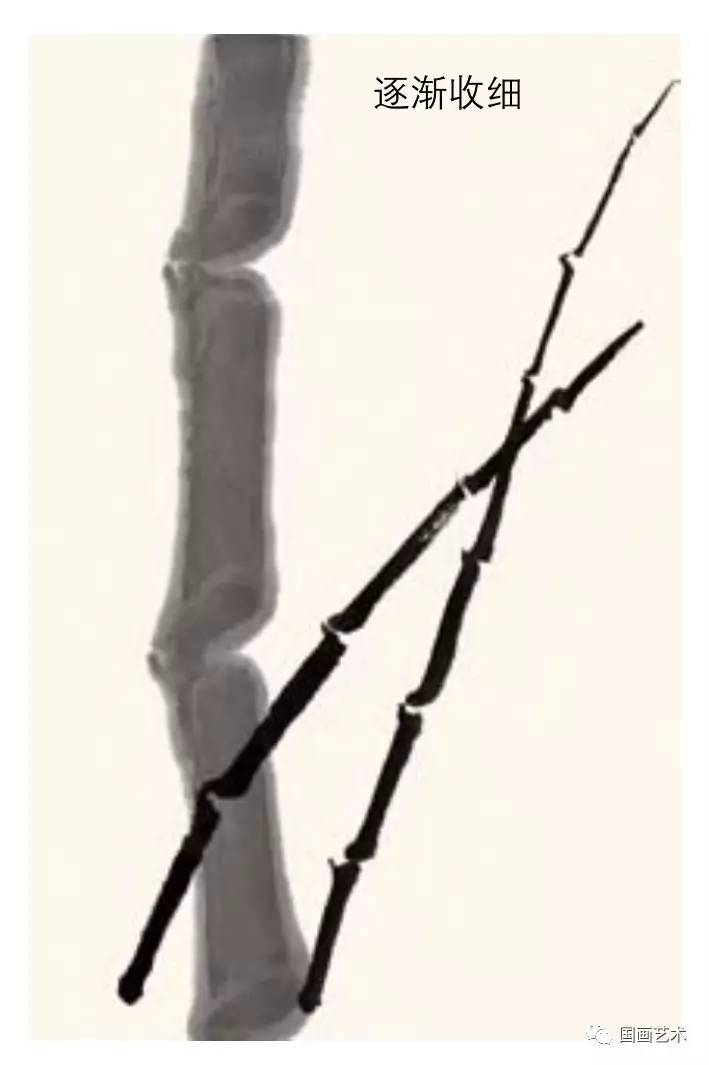 历代画竹名家名单,初学画竹子入门毛笔