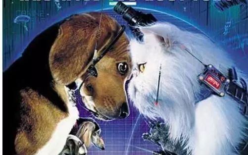 泰国禁烟图片,泰国禁止吸烟