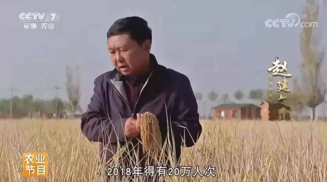 中国用了占世界多少的耕地,我国用占世界百分之几的耕地