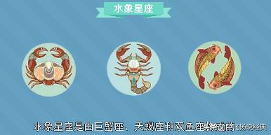 受益人详细解析,受益人深度解读