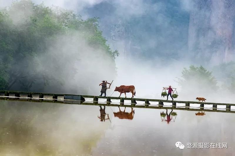 中国山水画摇篮,楠溪江为什么叫山水画摇篮