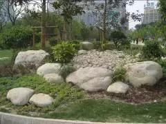 鹿邑百城建设效果图,百城提质工程