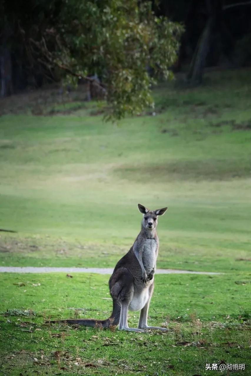 全世界最美50处旅游景点,全球公认世界最美的10个地方