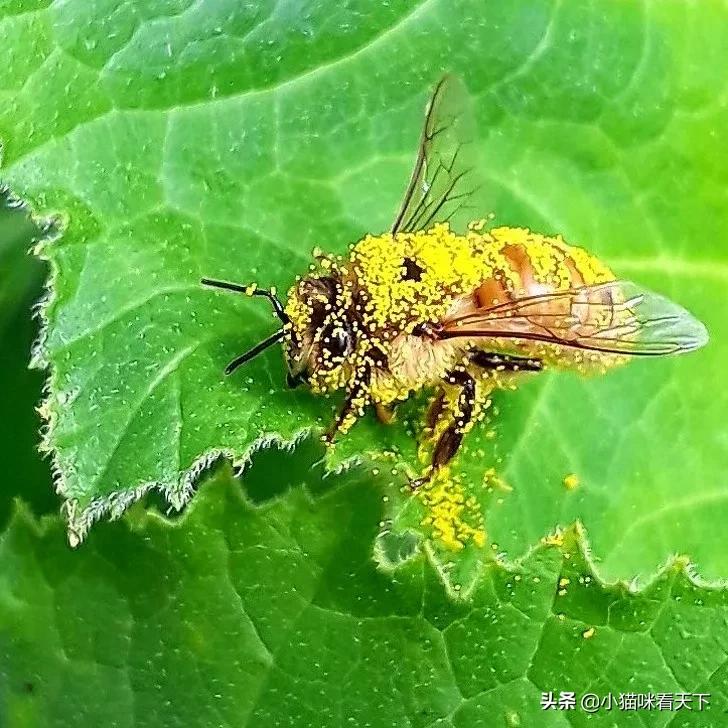 世界之大无奇不有各种各样的事情,无意中看到世界之大无奇不有