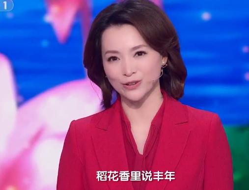 中国诗词大会董卿咏梅,诗词大会第四季第七场董卿开场白