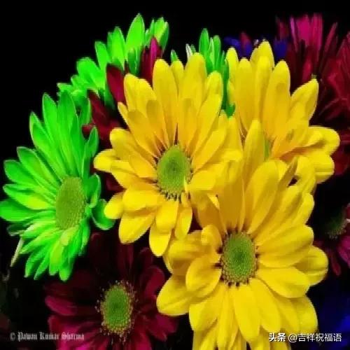 经典永远堪称经典,经典中的经典回味经典