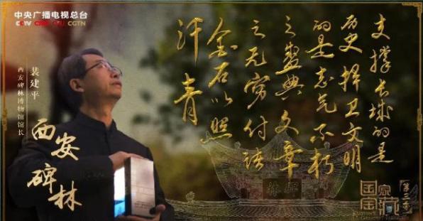 西安被低估的博物馆,西安博物馆之城