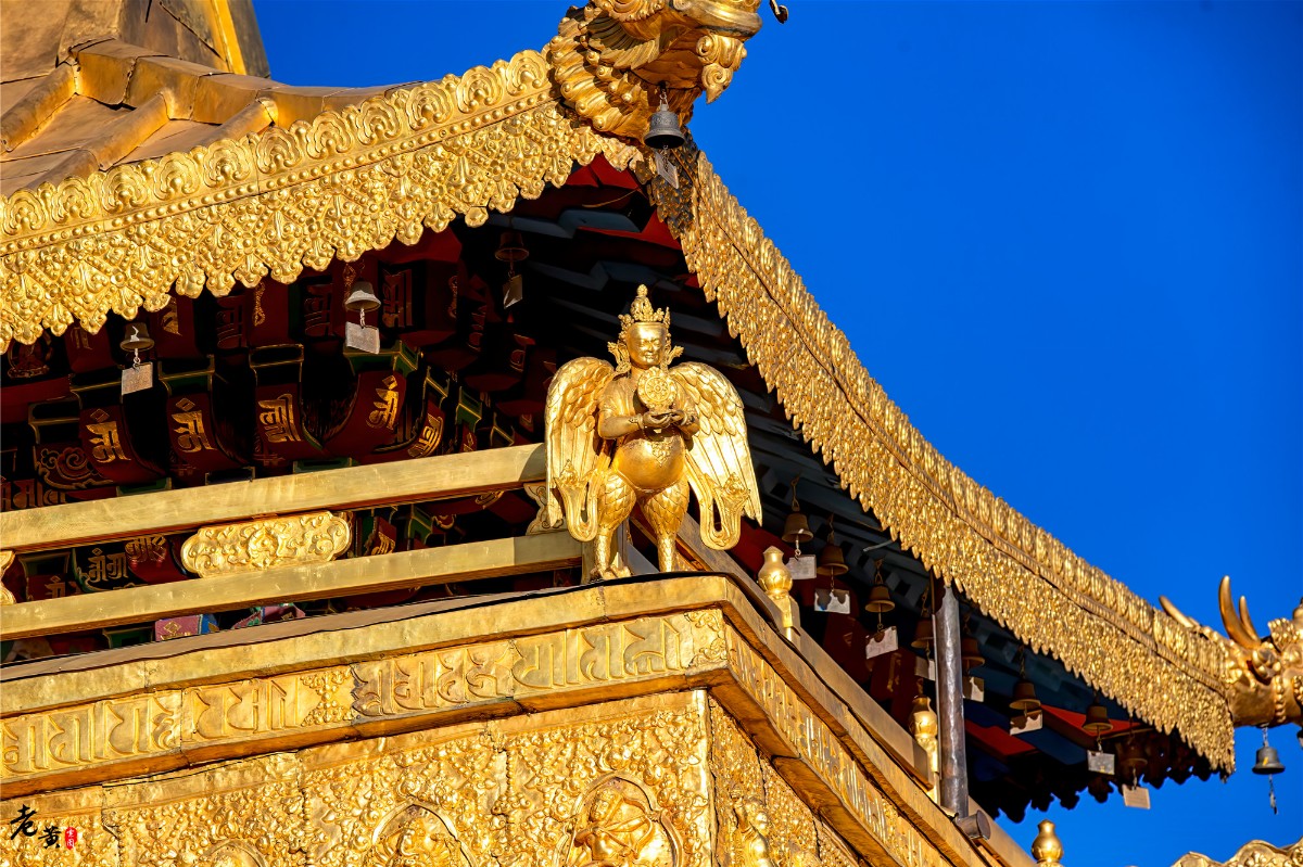 拥有千年历史的大昭寺,拉萨著名地标之一,有个美丽误会流传至今