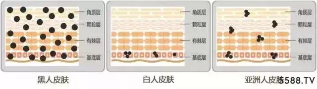 欧美护肤品是不是偏干,欧美护肤品不适合亚洲人