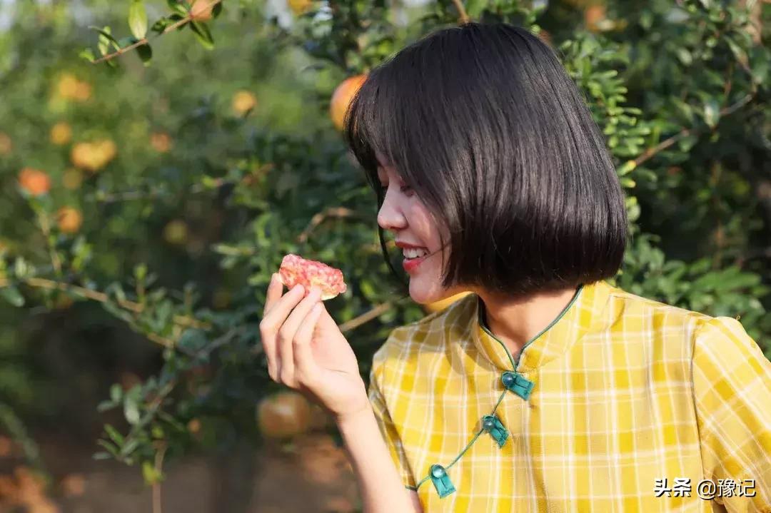 郑州软籽石榴哪个好吃又甜,在中国哪个地方的软籽石榴最出名