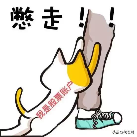 你可以不挣钱但一定要投资,可以持有多少个股票账户