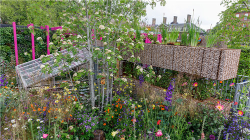 切尔西花展举办,2020年切尔西花展抢先看