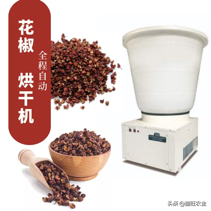 花椒如何采摘,花椒怎么才是熟了